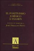 El positivismo jurídico a examen : estudios en homenaje a José Delgado Pinto