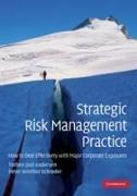 Strategic Risk Management Practice