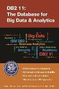 DB2 11: The Database for Big Data & Analytics