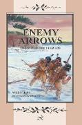 ENEMY ARROWS