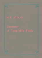 Geometry of Yang-Mills Fields