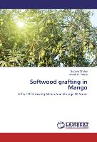 Softwood grafting in Mango