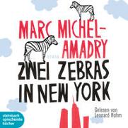 Zwei Zebras in New York