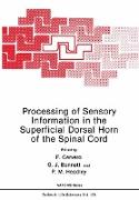 Processing of Sensory Information in the Superficial Dorsal Horn of the Spinal Cord