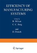 Efficiency of Manufacturing Systems