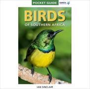 Vögel im südlichen Afrika /Birds of Southern Africa