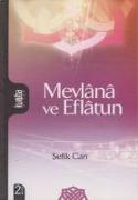 Mevlana ve Eflatun