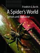 A Spider¿s World