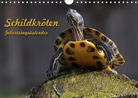 Schildkröten Geburtstagskalender (Wandkalender immerwährend DIN A4 quer)