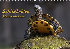 Schildkröten Geburtstagskalender (Wandkalender immerwährend DIN A3 quer)