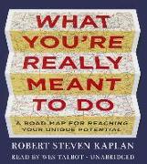 What You Re Really Meant to Do: A Road Map for Reaching Your Unique Potential