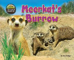 Meerkat's Burrow