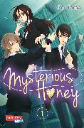 Mysterious Honey , Band 1
