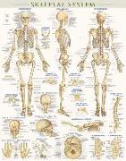 Skeletal System Poster (22 X 28 Inches) - Laminated: A Quickstudy Anatomy Reference