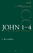 John 1-4 (ICC)