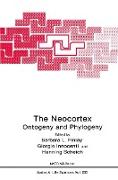 The Neocortex