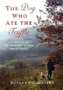 The Dog Who Ate the Truffle