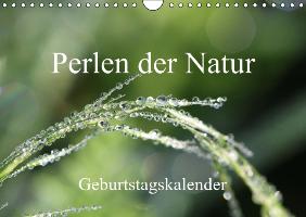Perlen der Natur / Geburtstagskalender (Wandkalender immerwährend DIN A4 quer)