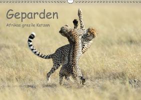 Geparden - Afrikas grazile Katzen (Wandkalender immerwährend DIN A3 quer)