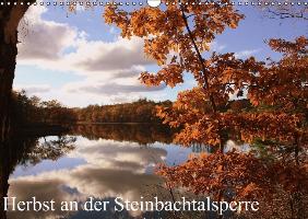 Herbst an der Steinbachtalsperre (Wandkalender immerwährend DIN A3 quer)