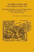 'Wading Lambs and Swimming Elephants': The Bible for the Laity and Theologians in Late Medieval and Early Modern Era