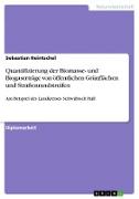 Quantifizierung der Biomasse- und Biogaserträge von öffentlichen Grünflächen und Straßenrandstreifen