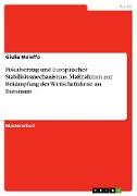 Fiskalvertrag und Europäischer Stabilitätsmechanismus. Maßnahmen zur Bekämpfung der Wirtschaftskrise im Euroraum