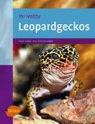 Leopardgeckos