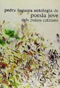 Pedra foguera : antologia de poesia jove dels països catalans