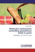 Molecular mechanisms controlling glutathione levels in yeast
