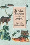 Survival Strategies