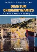 Quantum Chromodynamics - Proceedings of the Fifth Workshop