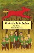 Adventures of the Ball Bug Boys