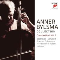 Anner Bylsma plays Chamber Music Vol.2