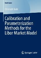 Calibration and Parameterization Methods for the Libor Market Model