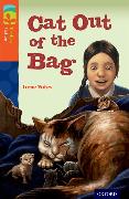 Oxford Reading Tree Treetops Fiction: Level 13 More Pack B: Cat out of the Bag