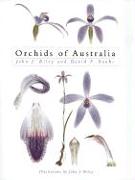 Orchids of Australia