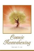 Cosmic Reawakening