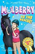 The Meadow Vale Ponies: Mulberry to the Rescue!