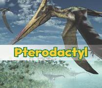 Pterodactyl