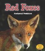 Red Foxes: Nocturnal Predators