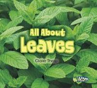 All about Leaves
