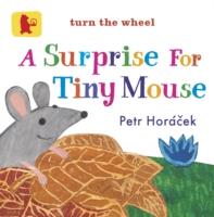 A Surprise for Tiny Mouse