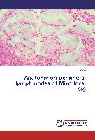 Anatomy on peripheral lymph nodes of Mizo local pig