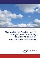 Strategies for Production of Single Chain Antibody Fragment in E. coli