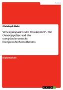 Versorgungsader oder Druckmittel? Die Ostseepipeline und das europäisch-russische Energiesicherheitsdilemma