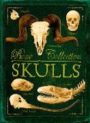 Bone Collection: Skulls