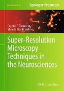 Super-Resolution Microscopy Techniques in the Neurosciences