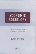 Economic Sociology: State, Market, and Society in Modern Capitalism