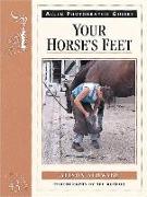 Your Horse's Feet